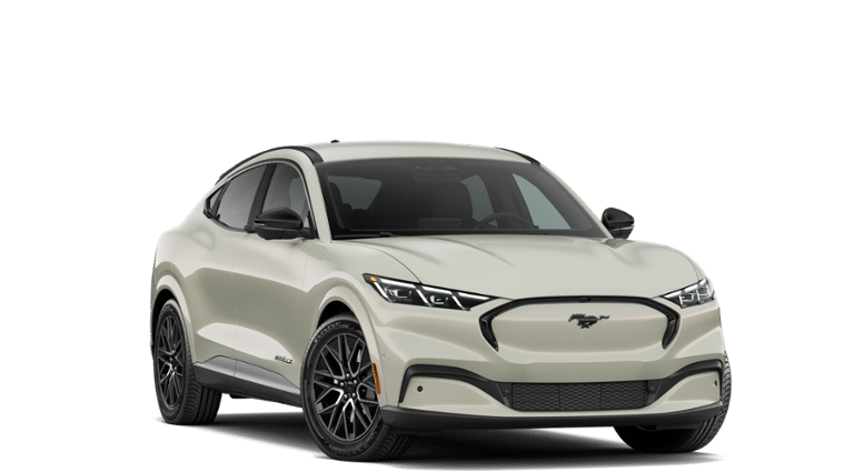 Mustang Mach-E® vehicle